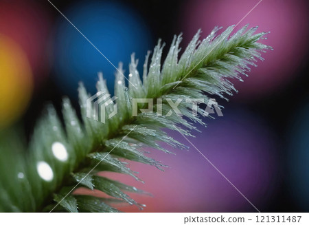 colorful bokeh with flowers abstract background 121311487