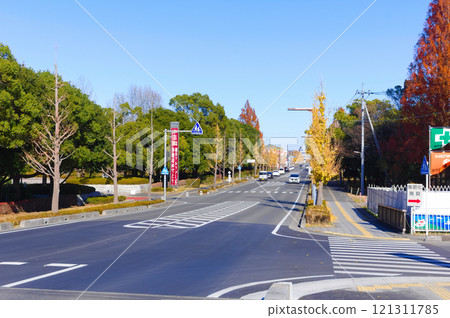 埼玉縣越谷市綜合體育館週邊 2024年12月 121311785