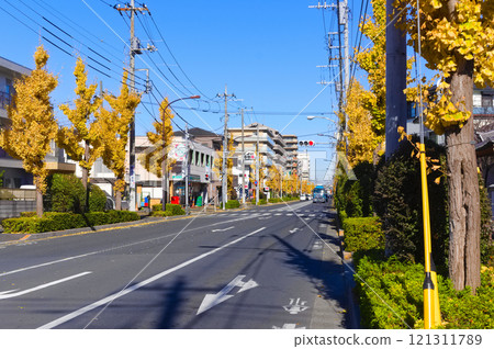 東京都足立區環南北通 2024 年 12 月 121311789