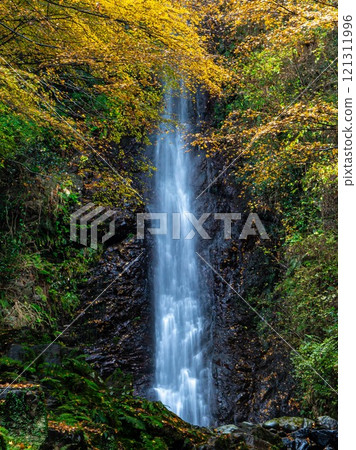 Yoro no Waterfall 121311996
