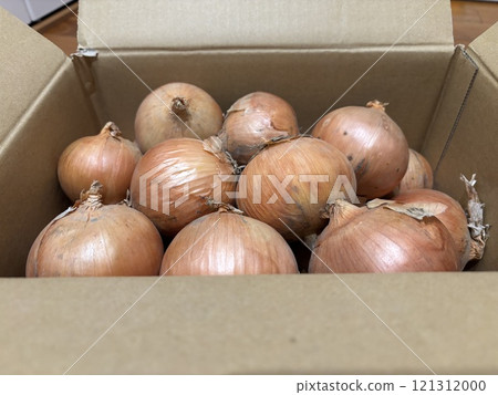 紙箱裡的洋蔥 121312000