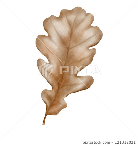 Dry oak autumn leaf of silver color with streaks as a symbol of fading and withering of nature. The watercolor illustration is hand-painted on a transparent background for packaging and textiles 121312021