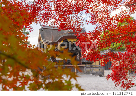 Autumn in Kyoto, Kyoto Imperial Palace, bright red maples and Kenshunmon Gate 121312771