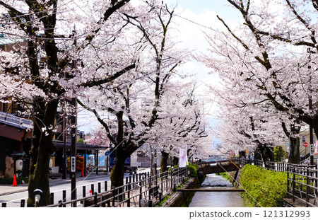 Cherry blossoms in Isawa Onsen town Cherry blossoms in Isawa Onsen town 121312993