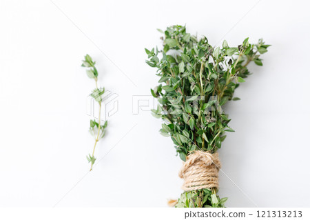 fresh green Thyme herb plant fresh green Thyme herb plant 121313213
