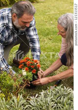 Mature couple planting flowers together in garden, enjoying outdoor activity 121313517