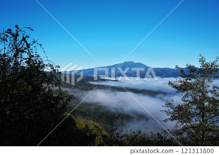 View of the sea of clouds and yellow leaves from the Kurakoshi Panorama Line Observatory in Shinshu 121313800