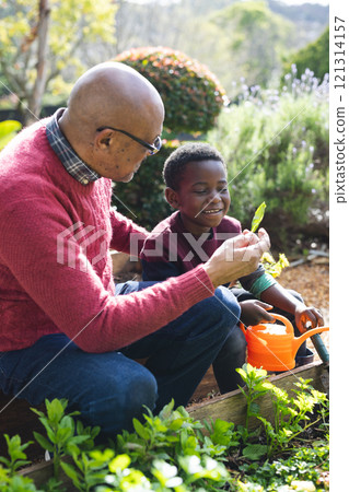 Happy african american grandfather and grandson looking at plants in sunny garden 121314157