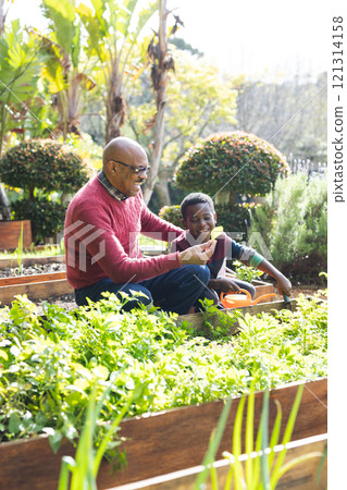 Happy african american grandfather and grandson looking at plants in sunny garden Happy african american grandfather and grandson looking at plants in sunny garden 121314158