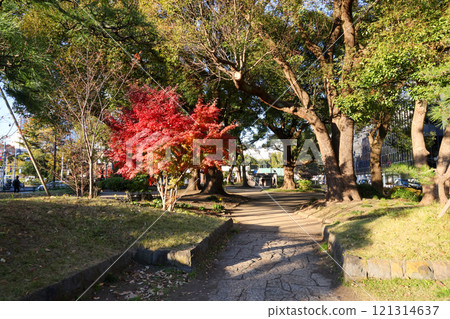 Tokyo Shiba Park Autumn Tokyo Shiba Park Autumn 121314637