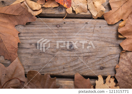 Close up of multiple autumn leaves with copy space on wooden surface Close up of multiple autumn leaves with copy space on wooden surface 121315771