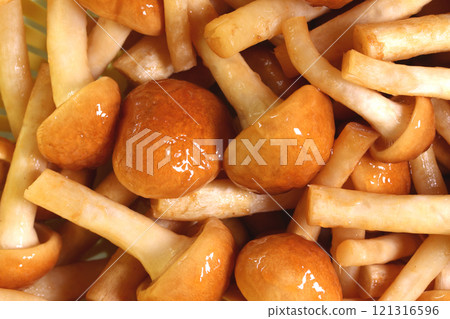 漏勺中的自產滑菇特寫 121316596