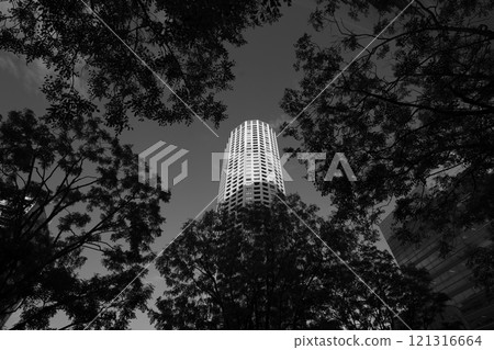 Landmark Tower Landmark Tower 121316664