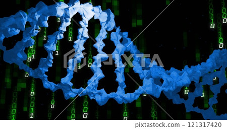 Image of dna strand, binary coding and data processing over black background Image of dna strand, binary coding and data processing over black background 121317420