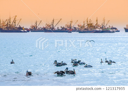 Pelicans gather and hunt for fish in the tranquil waters of Arica Harbor, Chile, as fishing boats dot the horizon during a beautiful sunset. Pelicans gather and hunt for fish in the tranquil waters of Arica Harbor, Chile, as fishing boats dot the horizon during a beautiful sunset. 121317935
