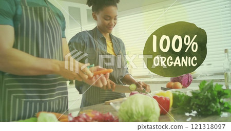 Image of 100 percent organic text over diverse couple preparing healthy meal in kitchen 121318097