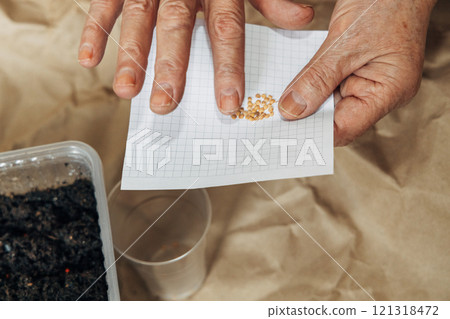 Kraft paper background, fertile soil and garden tools, top view. Hands planting seeds Kraft paper background, fertile soil and garden tools, top view. Hands planting seeds 121318472