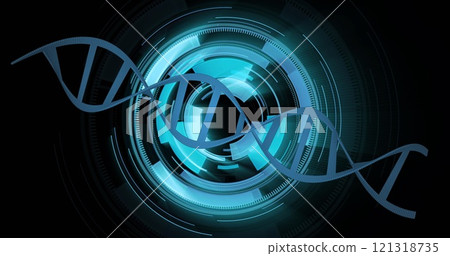 DNA strand image over futuristic circular digital interface 121318735