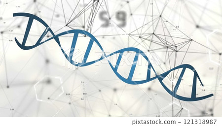Image of network of connections and dna strand on white background Image of network of connections and dna strand on white background 121318987