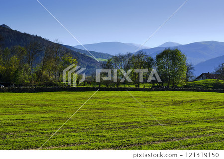 Green Pasture in Cabuerniga Valley with Mountain View, Cantabria, Spain. Green Pasture in Cabuerniga Valley with Mountain View, Cantabria, Spain. 121319150