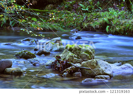 Moss-Covered Rocks in Bayones River, Ucieda, Cabuerniga Valley, Cantabria Moss-Covered Rocks in Bayones River, Ucieda, Cabuerniga Valley, Cantabria 121319163
