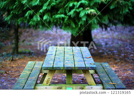 Wooden picnic table in a forest, Ucieda, Cabuerniga Valley, Cantabria, Spain Wooden picnic table in a forest, Ucieda, Cabuerniga Valley, Cantabria, Spain 121319165