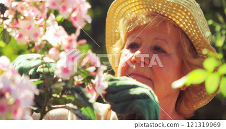 Senior woman trimming flowers in garden on a sunny day 121319969
