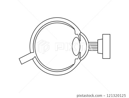 LASIK eye surgery 121320125