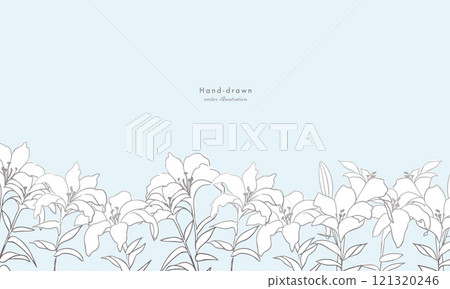 線條畫植物插圖。向量線畫植物和花卉的簡單模板。 121320246