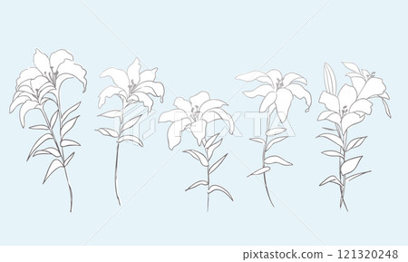 線條畫植物插圖。向量線畫植物和花卉的簡單模板。 線條畫植物插圖。向量線畫植物和花卉的簡單模板。 121320248