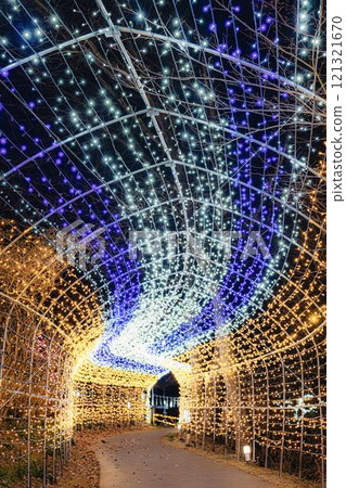 Winter illumination Shibata Fantasy Illumination 2024 Shibata Town, Miyagi Prefecture Winter illumination Shibata Fantasy Illumination 2024 Shibata Town, Miyagi Prefecture 121321670