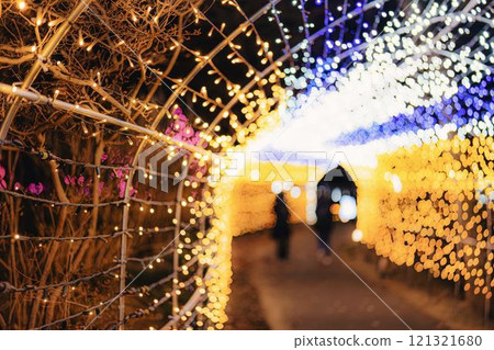 Winter illumination Shibata Fantasy Illumination 2024 Shibata Town, Miyagi Prefecture 121321680