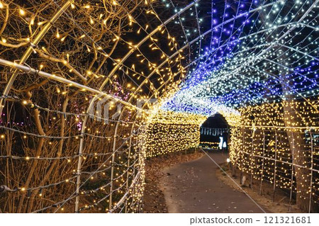 Winter illumination Shibata Fantasy Illumination 2024 Shibata Town, Miyagi Prefecture Winter illumination Shibata Fantasy Illumination 2024 Shibata Town, Miyagi Prefecture 121321681