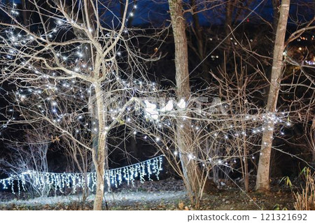 Winter illumination Shibata Fantasy Illumination 2024 Shibata Town, Miyagi Prefecture Winter illumination Shibata Fantasy Illumination 2024 Shibata Town, Miyagi Prefecture 121321692