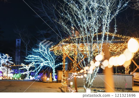Winter illumination Shibata Fantasy Illumination 2024 Shibata Town, Miyagi Prefecture 121321696