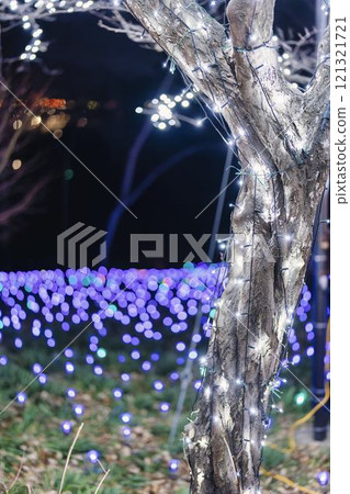 冬季彩燈 柴田奇幻彩燈2024 宮城縣柴田町 121321721