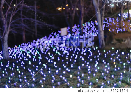 冬季彩燈 柴田奇幻彩燈2024 宮城縣柴田町 121321724