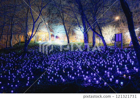 Winter illumination Shibata Fantasy Illumination 2024 Shibata Town, Miyagi Prefecture Winter illumination Shibata Fantasy Illumination 2024 Shibata Town, Miyagi Prefecture 121321731
