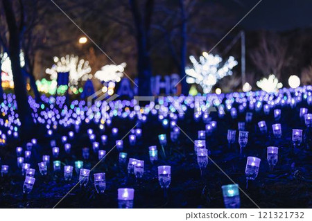 Winter illumination Shibata Fantasy Illumination 2024 Shibata Town, Miyagi Prefecture Winter illumination Shibata Fantasy Illumination 2024 Shibata Town, Miyagi Prefecture 121321732