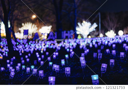 Winter illumination Shibata Fantasy Illumination 2024 Shibata Town, Miyagi Prefecture Winter illumination Shibata Fantasy Illumination 2024 Shibata Town, Miyagi Prefecture 121321733