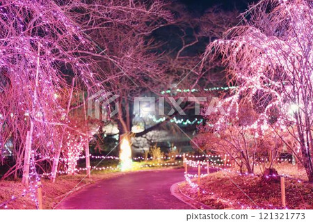 Winter illumination Shibata Fantasy Illumination 2024 Shibata Town, Miyagi Prefecture 121321773
