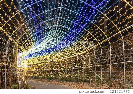 Winter illumination Shibata Fantasy Illumination 2024 Shibata Town, Miyagi Prefecture Winter illumination Shibata Fantasy Illumination 2024 Shibata Town, Miyagi Prefecture 121321775