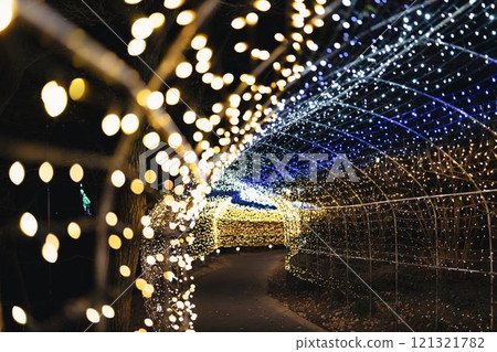Winter illumination Shibata Fantasy Illumination 2024 Shibata Town, Miyagi Prefecture Winter illumination Shibata Fantasy Illumination 2024 Shibata Town, Miyagi Prefecture 121321782