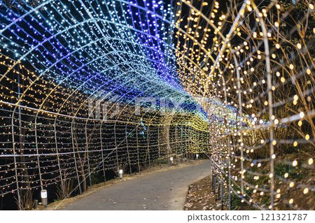 Winter illumination Shibata Fantasy Illumination 2024 Shibata Town, Miyagi Prefecture Winter illumination Shibata Fantasy Illumination 2024 Shibata Town, Miyagi Prefecture 121321787
