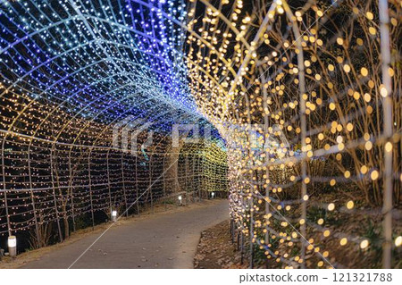 Winter illumination Shibata Fantasy Illumination 2024 Shibata Town, Miyagi Prefecture Winter illumination Shibata Fantasy Illumination 2024 Shibata Town, Miyagi Prefecture 121321788