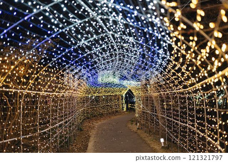 Winter illumination Shibata Fantasy Illumination 2024 Shibata Town, Miyagi Prefecture Winter illumination Shibata Fantasy Illumination 2024 Shibata Town, Miyagi Prefecture 121321797