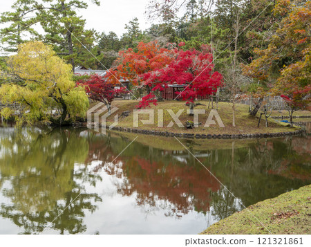 Autumn leaves at Itsukushima Shrine in Nara Park Autumn leaves at Itsukushima Shrine in Nara Park 121321861
