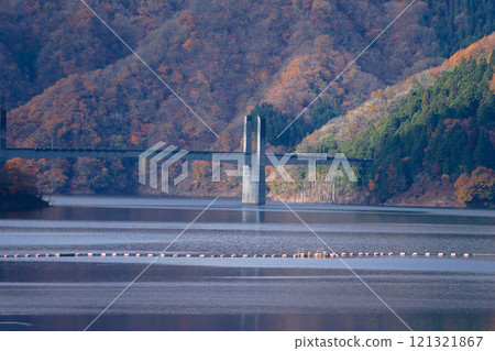 初冬德山水壩的秋葉 121321867