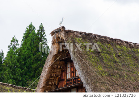 Gokayama, Toyama Prefecture World Heritage Site Gokayama Gassho-style Village (Suganuma Village) 121322726