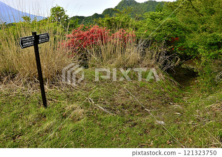 The path down from Oishi Pass in the Misaka Mountains to the Oishi Pass trailhead in Fujikawaguchiko Town 121323750